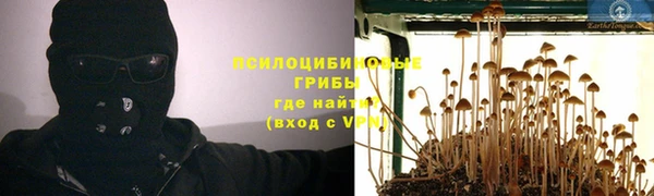 spice Костерёво
