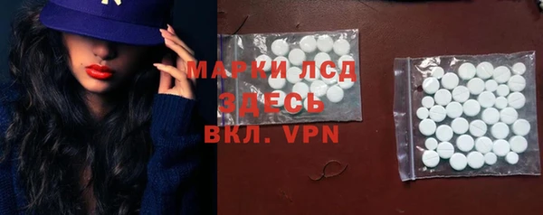 крисы Коряжма
