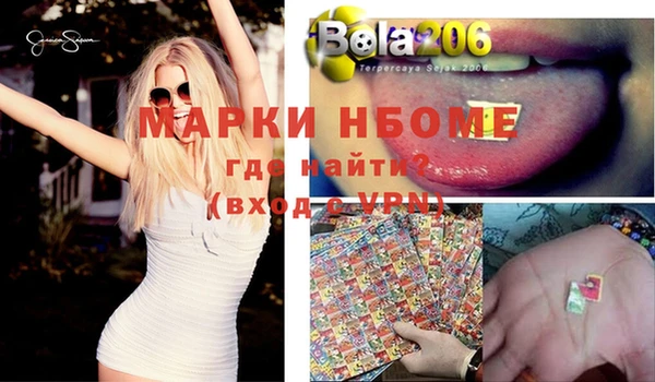 крисы Коряжма