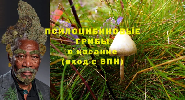 spice Костерёво
