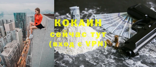 крисы Коряжма