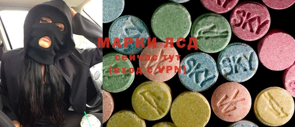 крисы Коряжма