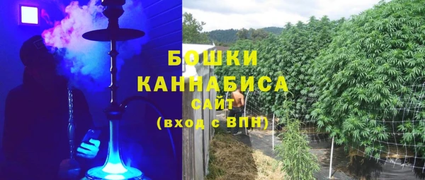 крисы Коряжма