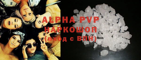 крисы Коряжма