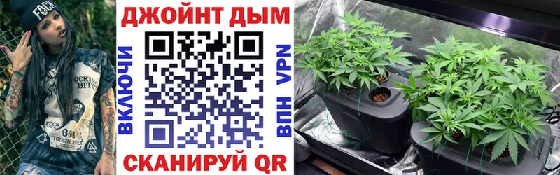 Купить  Суворов  Марихуана OG Kush 